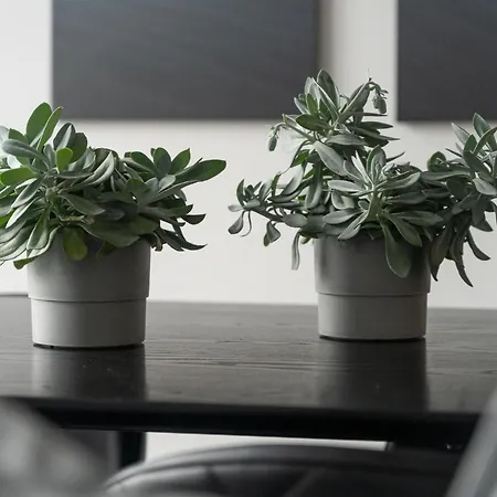 Milion Rynek Sienny Stare Bulwary No 1 *